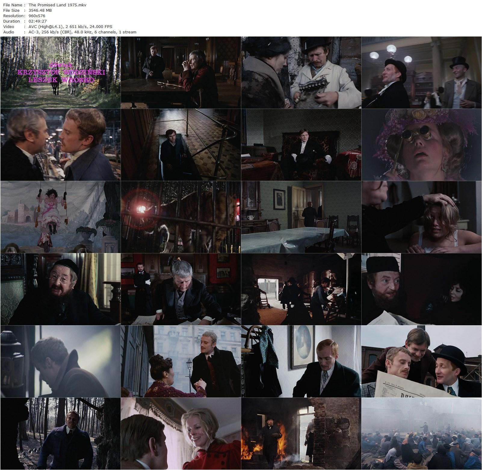 The Promised Land AKA Ziemia obiecana (1975) Andrzej Wajda, Daniel Olbrychski, Wojciech Pszoniak, Andrzej Seweryn-poster
