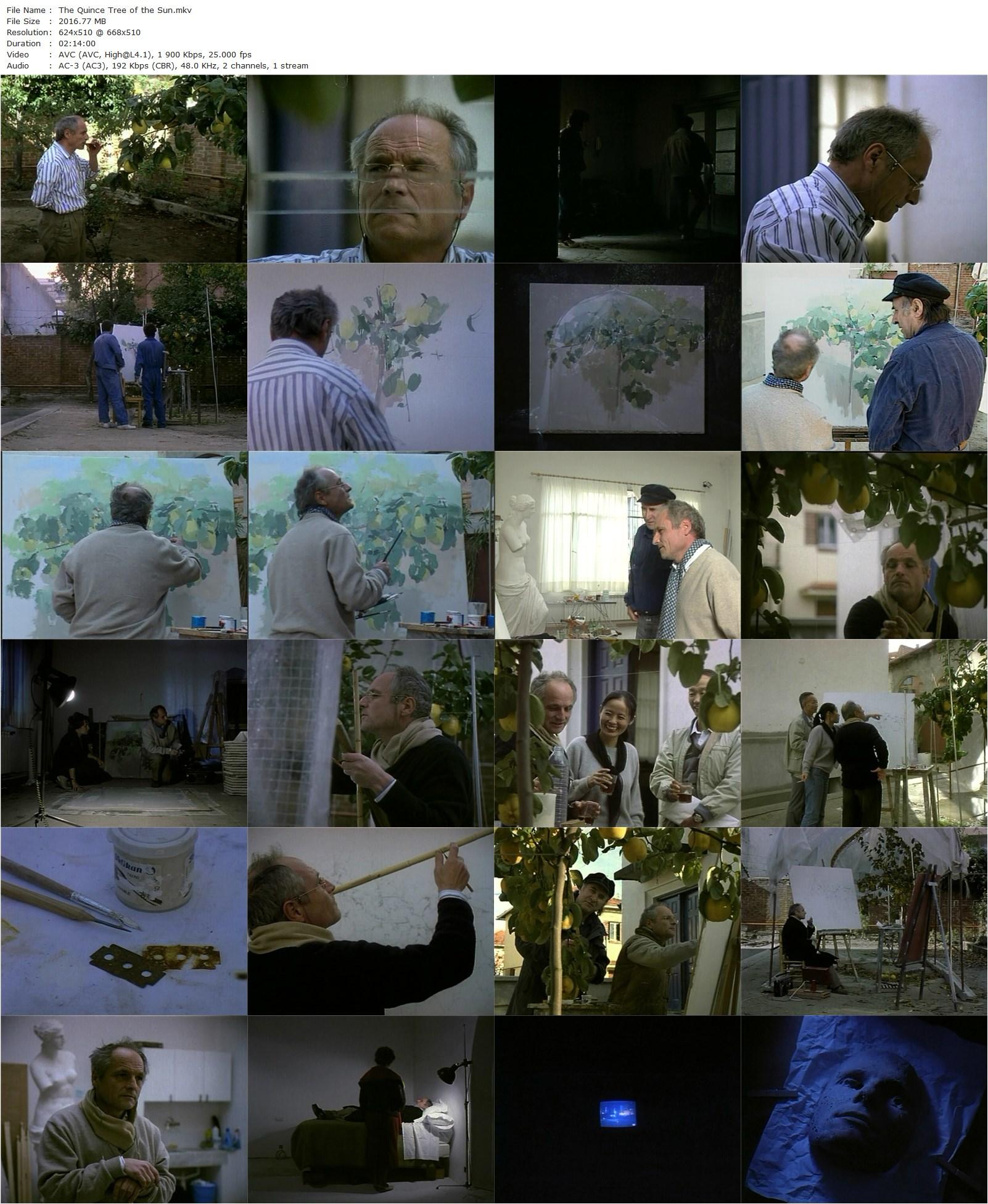 The Quince Tree Sun (1992) Víctor Erice, Antonio López, María Moreno, Enrique Gran-poster