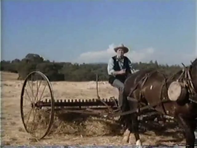 The Red Pony (1973) Robert Totten, Henry Fonda, Maureen O’Hara, Ben Johnson-poster