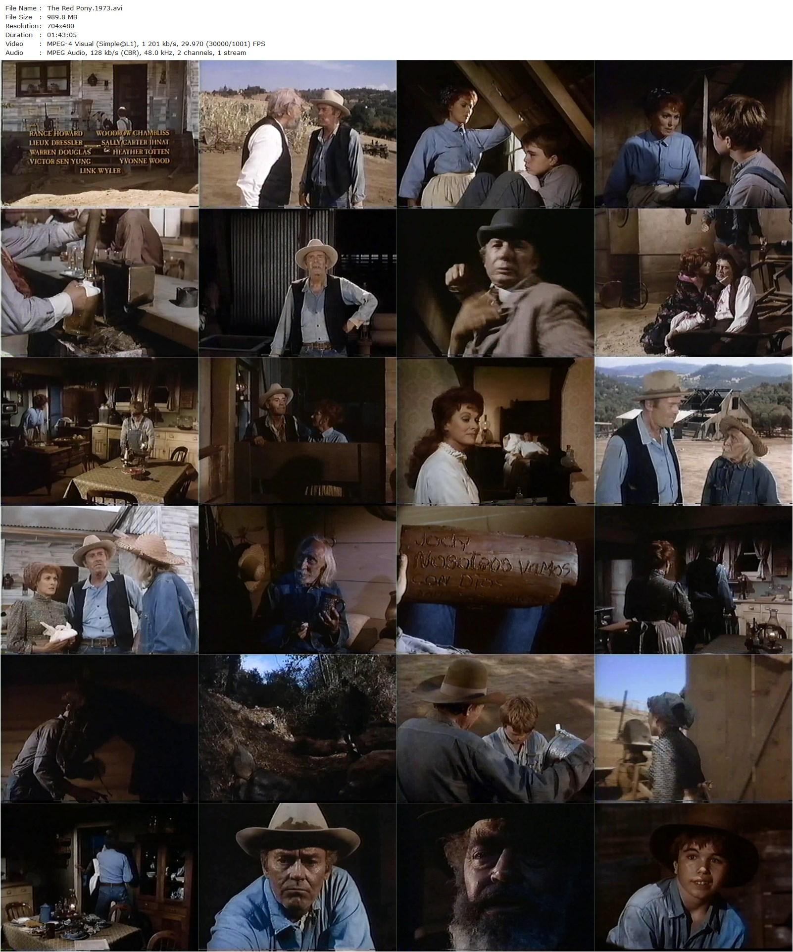 The Red Pony (1973) Robert Totten, Henry Fonda, Maureen O’Hara, Ben Johnson-poster