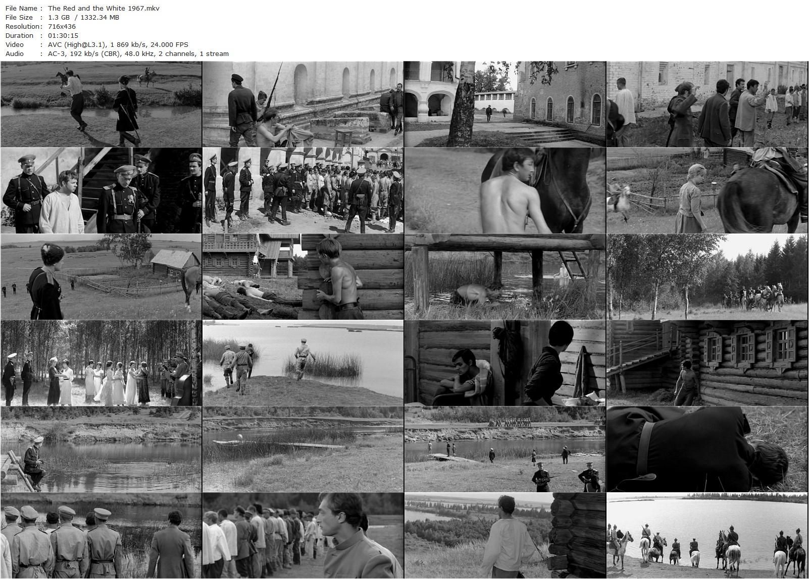 The Red and the White AKA Csillagosok, katonák (1967) Miklós Jancsó, József Madaras, Tibor Molnár, András Kozák-poster