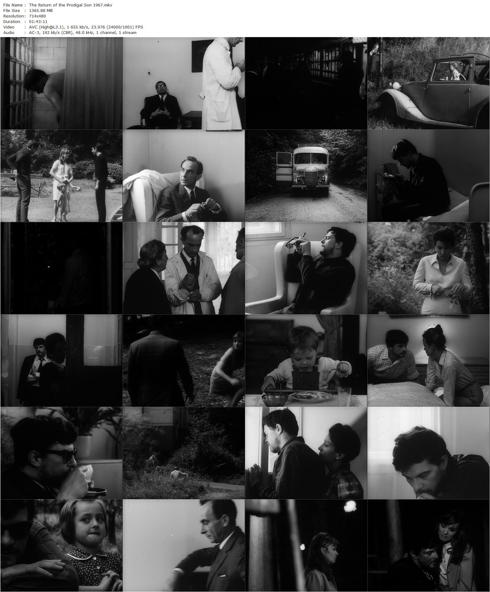 The Return of the Prodigal Son AKA Návrat ztraceného syna (1967) Evald Schorm, Jana Brejchová, Nina Divísková, Jan Kacer-poster