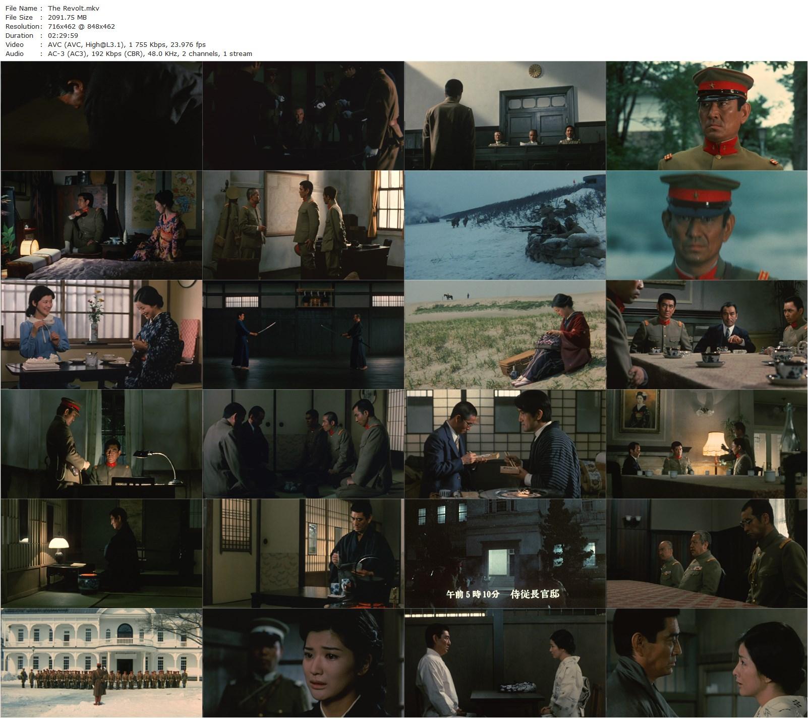 The Revolt AKA Dôran (1980) Shirô Moritani, Ken Takakura, Sayuri Yoshinaga, Masakane Yonekura-poster