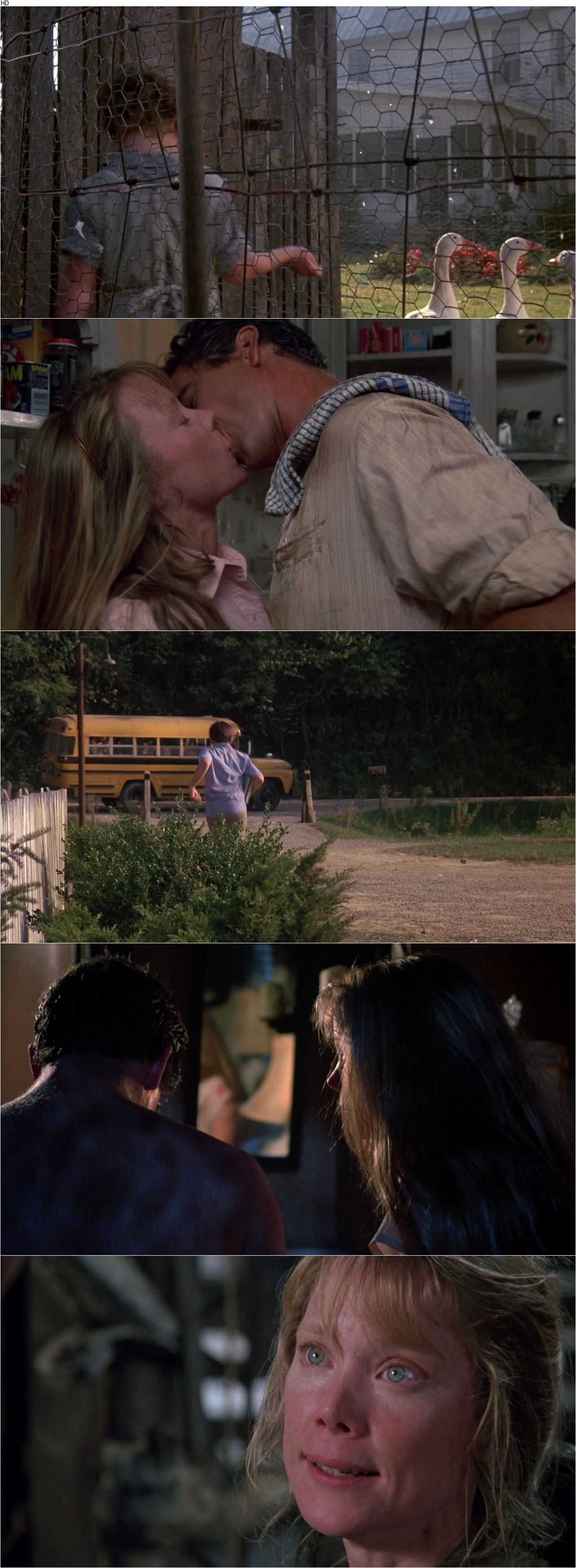 The River (1984) Mark Rydell, Mel Gibson, Sissy Spacek, Shane Bailey-poster