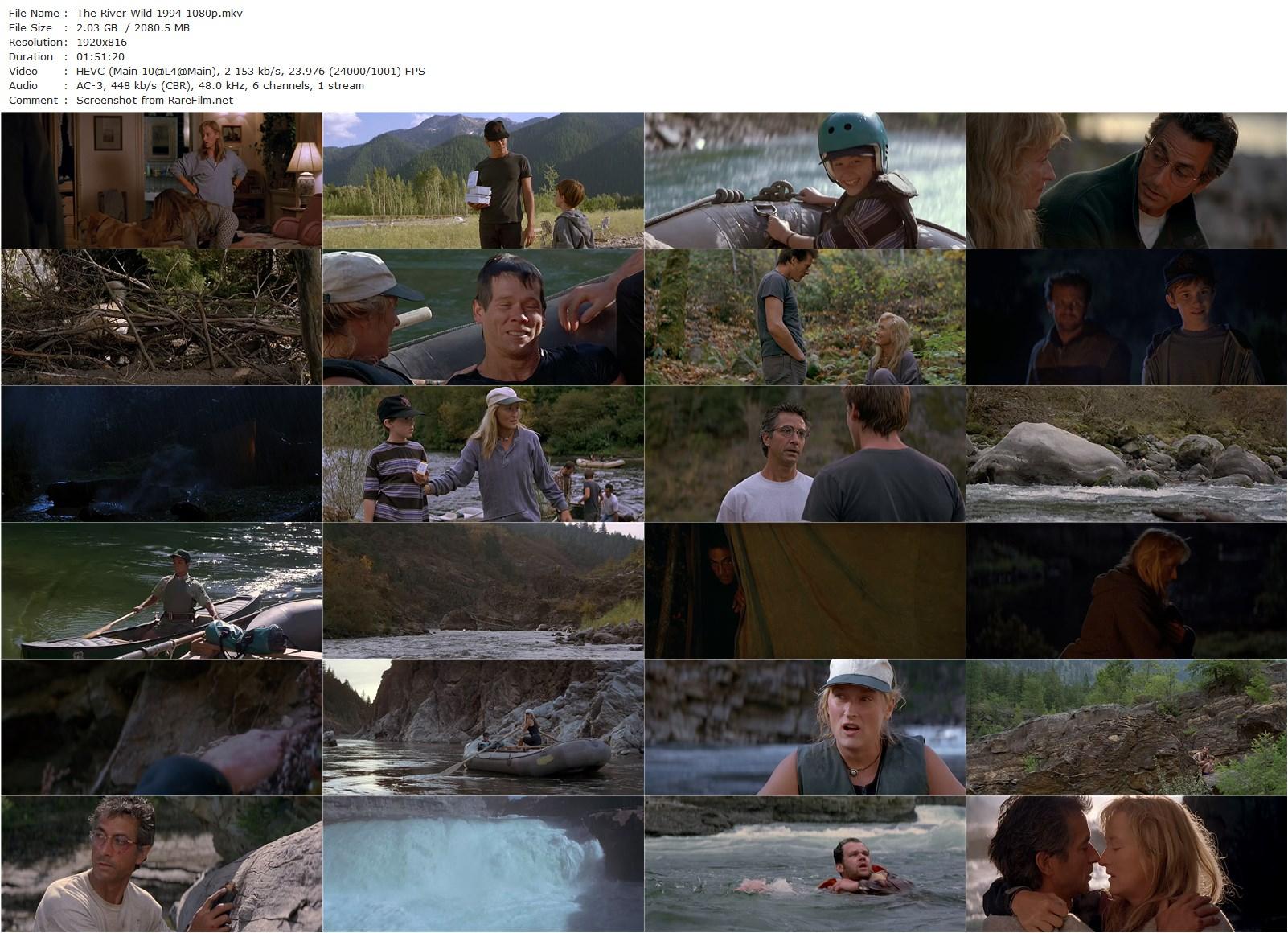 The River Wild (1994) Curtis Hanson, Meryl Streep, Kevin Bacon, David Strathairn-poster