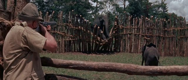 John Huston - The Roots of Heaven (1958)-poster