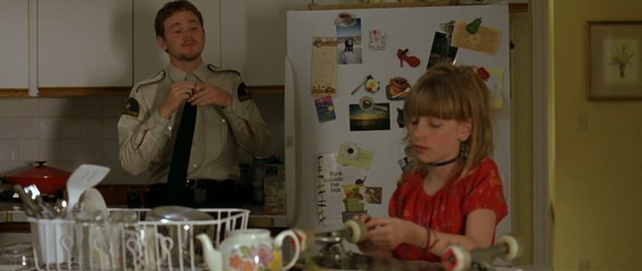 The Safety of Objects (2001) Rose Troche, Glenn Close, Dermot Mulroney, Mary Kay Place, Drama-poster