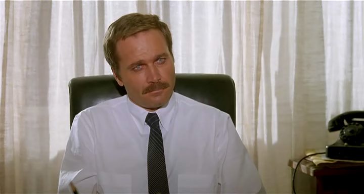 The Salamander (1981) Peter Zinner, Franco Nero-poster