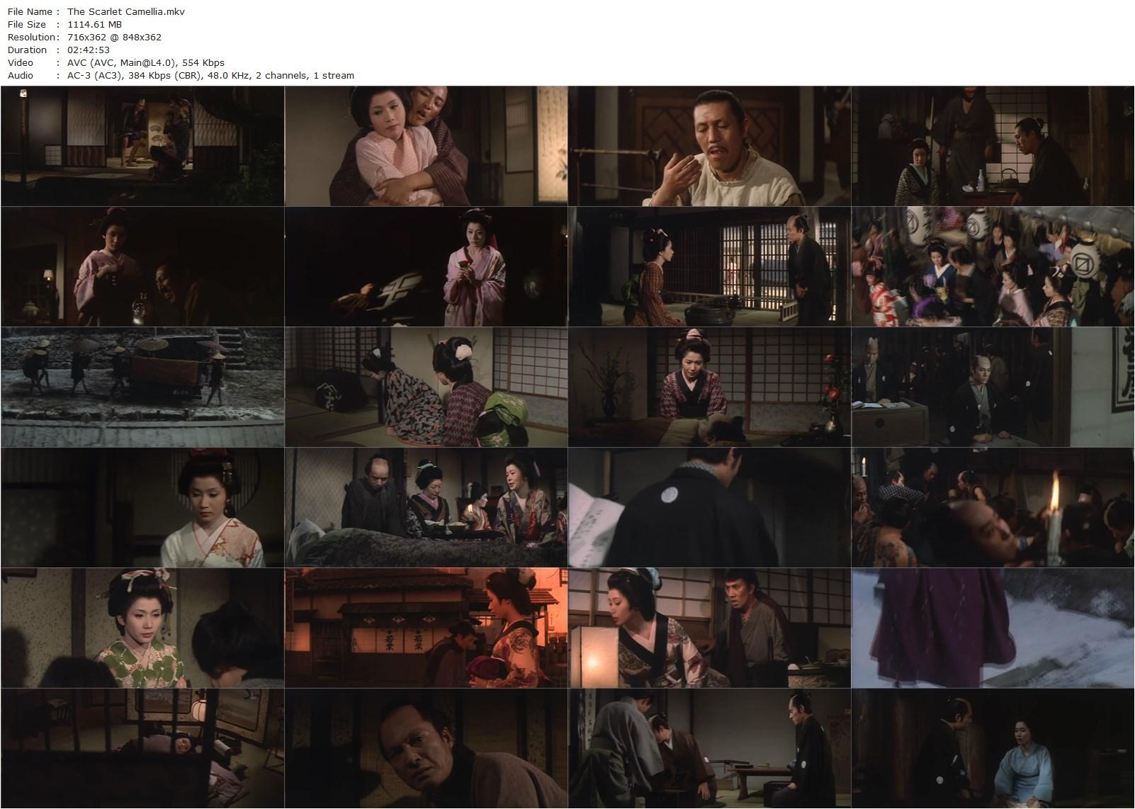 The Scarlet Camellia / Goben no tsubaki (1964) Yoshitarô Nomura, Shima Iwashita, Yoshi Katô, Sachiko Hidari-poster