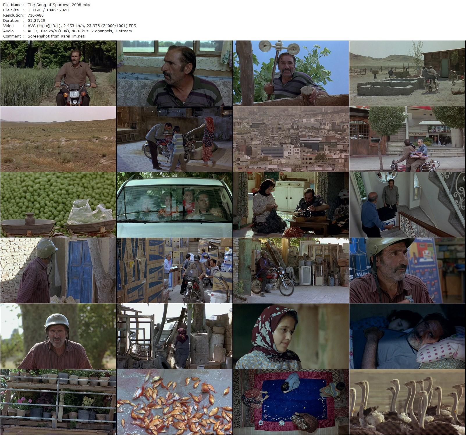 The Song of Sparrows / Avaze gonjeshk-ha (2008) Majid Majidi, Mohammad Amir Naji, Maryam Akbari, Kamran Dehghan-poster