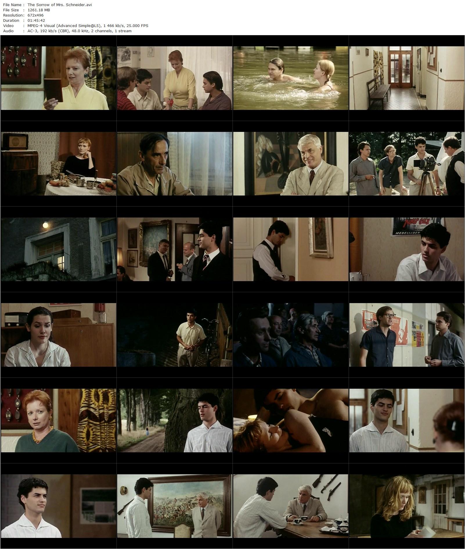 The Sadness of Mrs. Snajdrova AKA Smutek paní Snajdrové (2008) Eno Milkani, Piro Milkani, Anna Geislerová, Nik Xhelilaj, Barbora Stepánová-poster