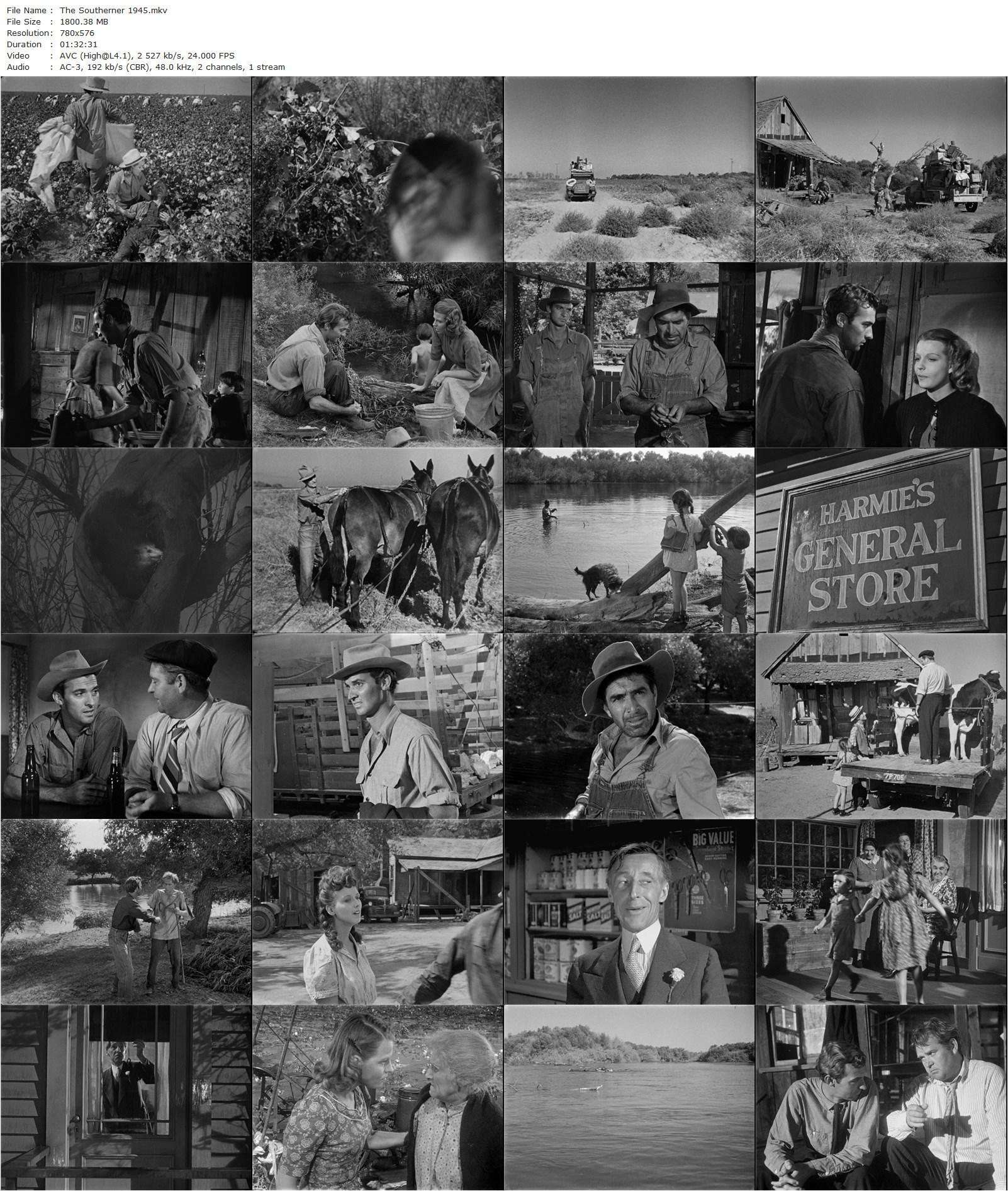 The Southerner (1945) Jean Renoir, Zachary Scott, Betty Field, J. Carrol Naish-poster