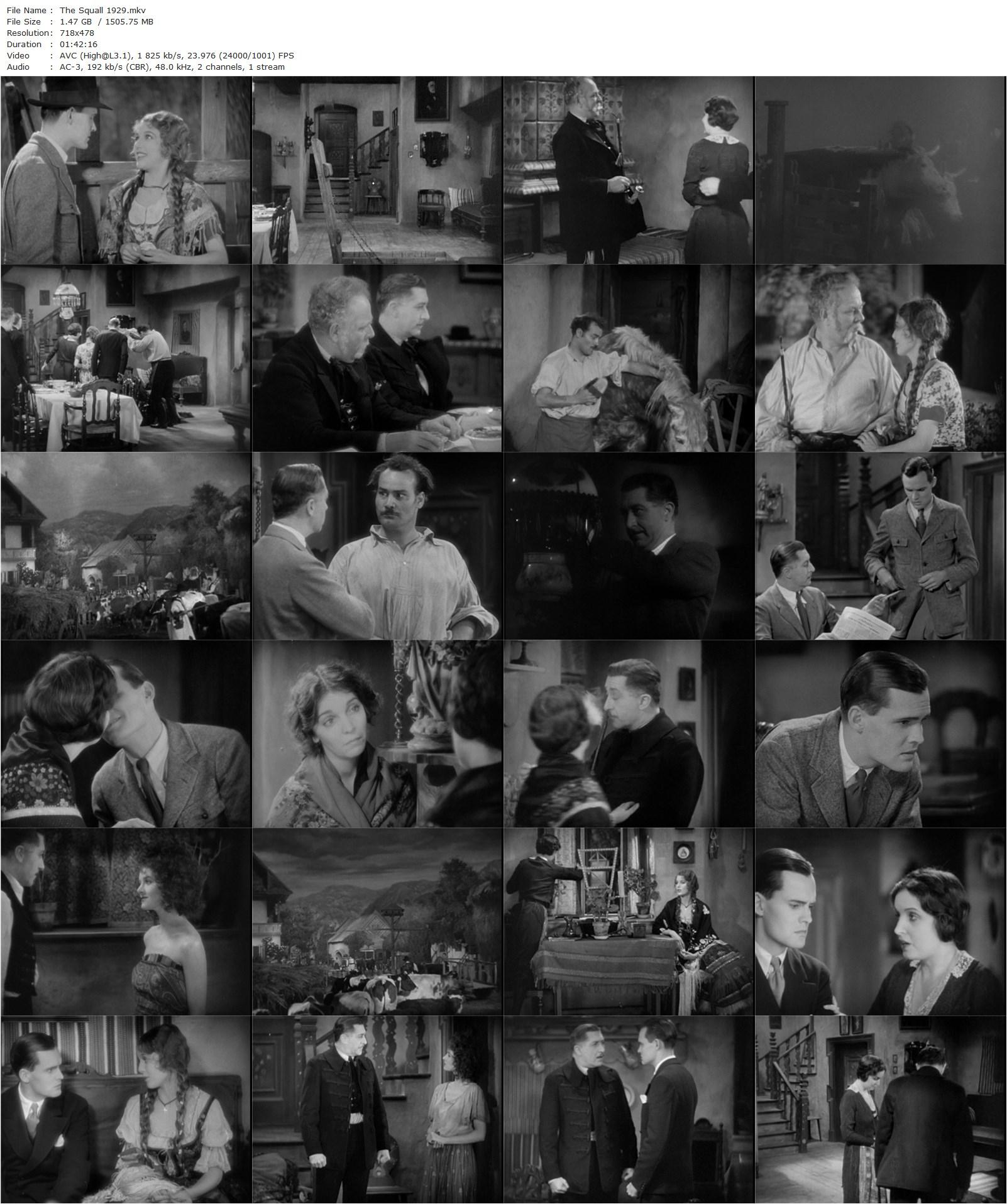 The Squall (1929) Alexander Korda, Alice Joyce, Richard Tucker, Myrna Loy-poster