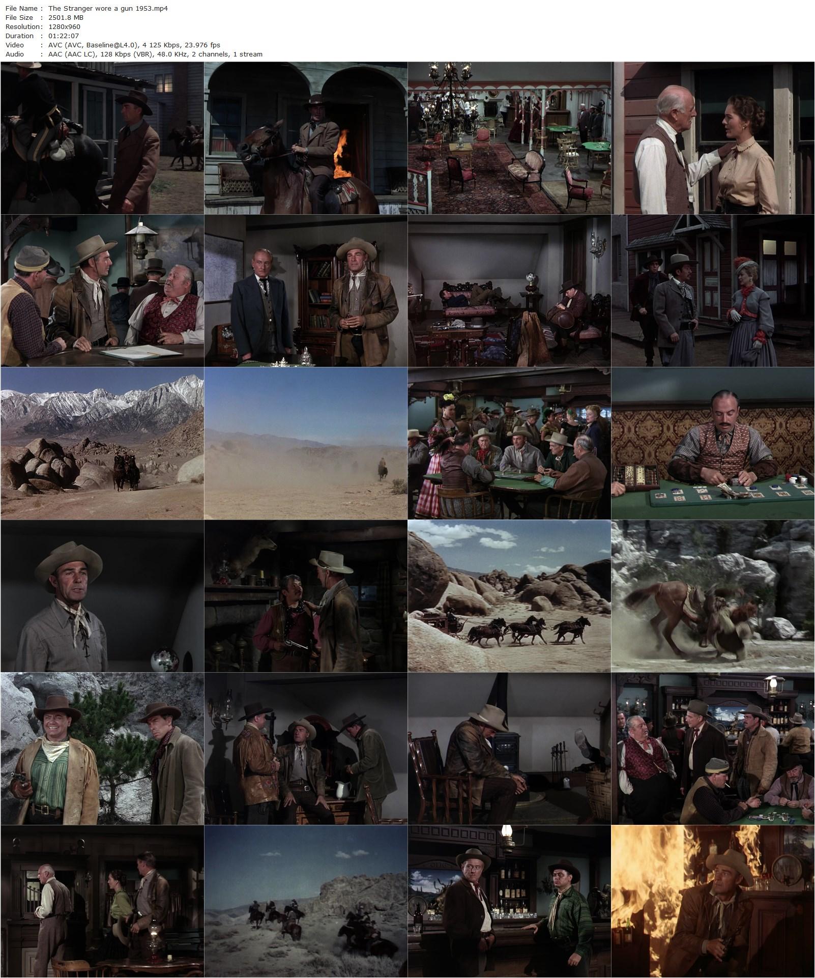 The Stranger Wore a Gun (1953) André De Toth, Randolph Scott, Claire Trevor, Joan Weldon-poster