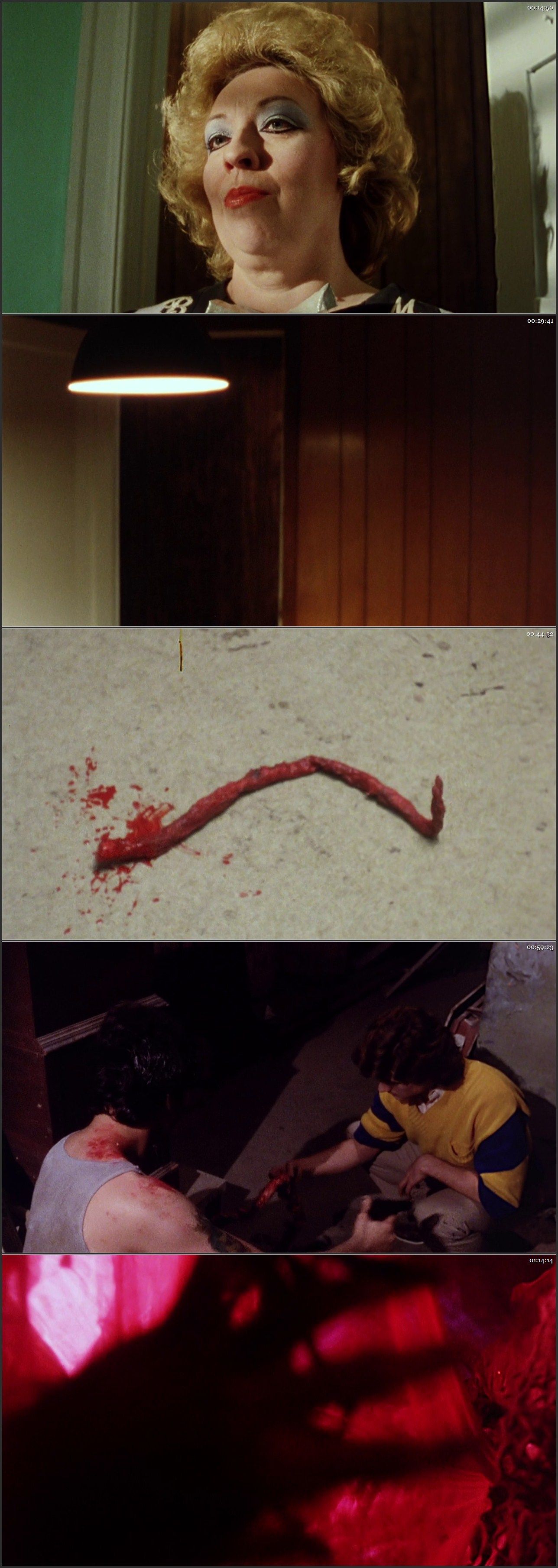 The Suckling (1990) Francis Teri, Frank Rivera, Marie Michaels, Gerald Preger-poster