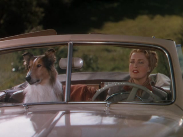 The Sun Comes Up (1949) Richard Thorpe, Jeanette MacDonald, Lloyd Nolan, Claude Jarman Jr.-poster