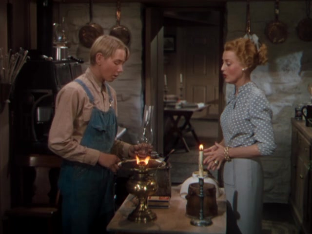 The Sun Comes Up (1949) Richard Thorpe, Jeanette MacDonald, Lloyd Nolan, Claude Jarman Jr.-poster