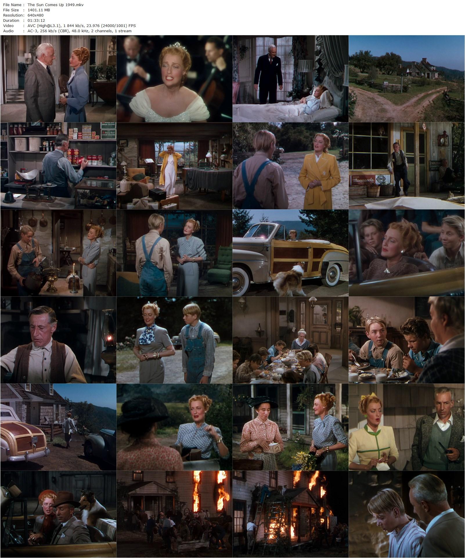 The Sun Comes Up (1949) Richard Thorpe, Jeanette MacDonald, Lloyd Nolan, Claude Jarman Jr.-poster