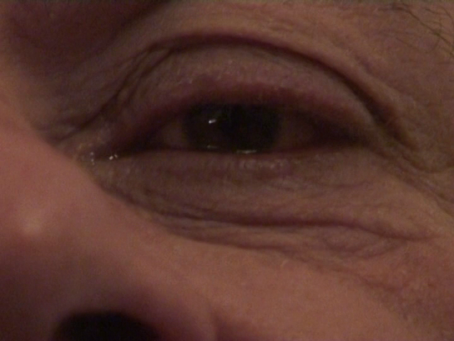 Stephen Dwoskin - The Sun and the Moon (2008)-poster