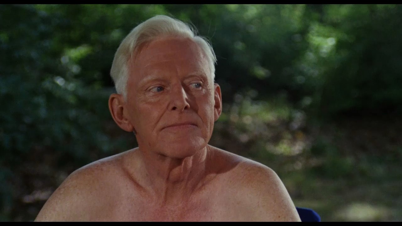 The Swimmer (1968) Frank Perry, Sydney Pollack, Burt Lancaster, Janet Landgard, Janice Rule, Drama-poster