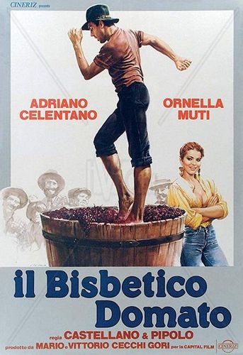 The Taming of the Scoundrel AKA Il bisbetico domato (1980) Franco Castellano, Giuseppe Moccia, Adriano Celentano, Ornella Muti, Edith Peters
