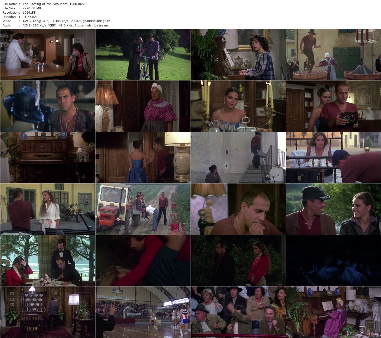 The Taming of the Scoundrel AKA Il bisbetico domato (1980) Franco Castellano, Giuseppe Moccia, Adriano Celentano, Ornella Muti, Edith Peters-poster