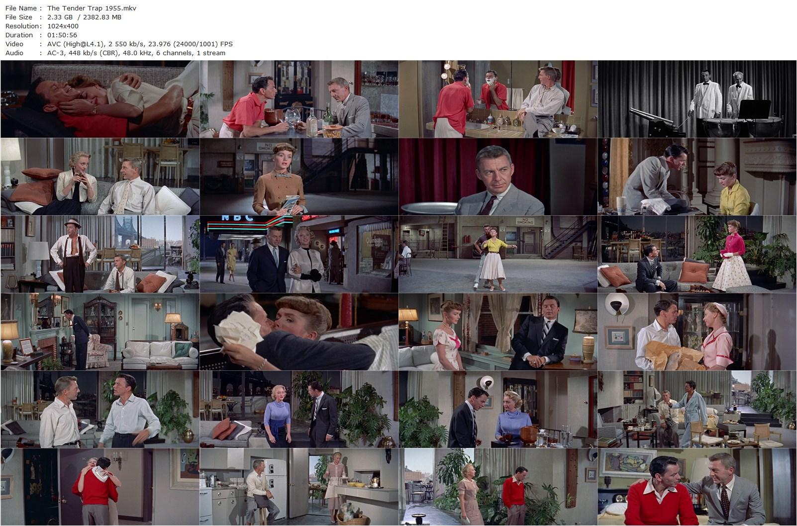 The Tender Trap (1955) Charles Walters, Frank Sinatra, Debbie Reynolds, David Wayne-poster