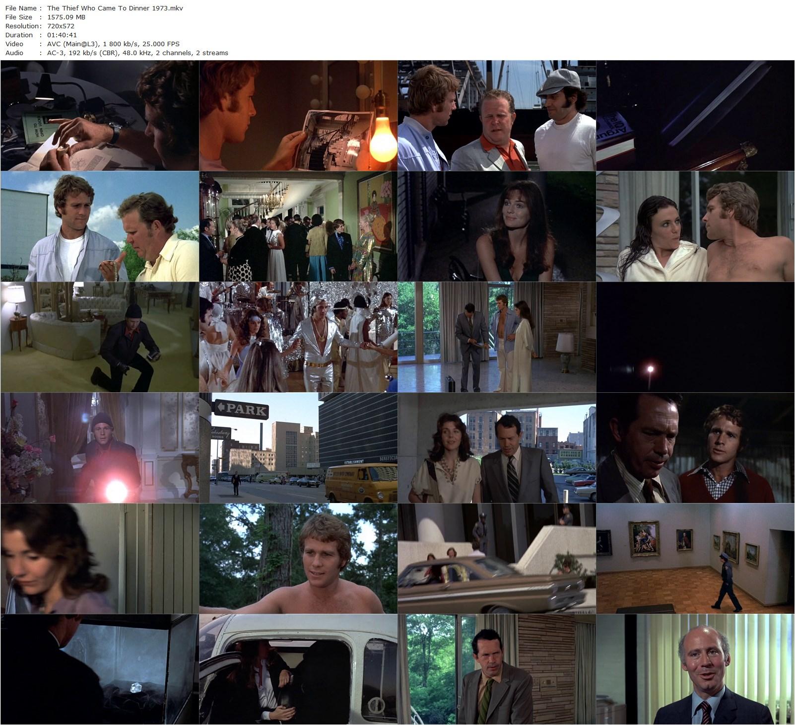 The Thief Who Came to Dinner (1973) Bud Yorkin, Ryan O’Neal, Jacqueline Bisset, Warren Oates-poster