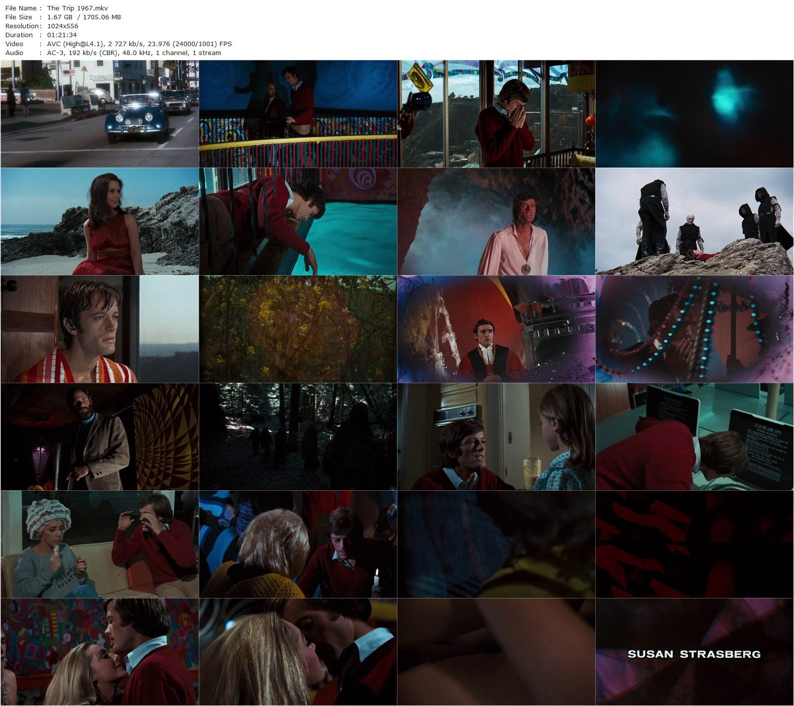 The Trip (1967) Roger Corman, Peter Fonda, Susan Strasberg, Bruce Dern-poster