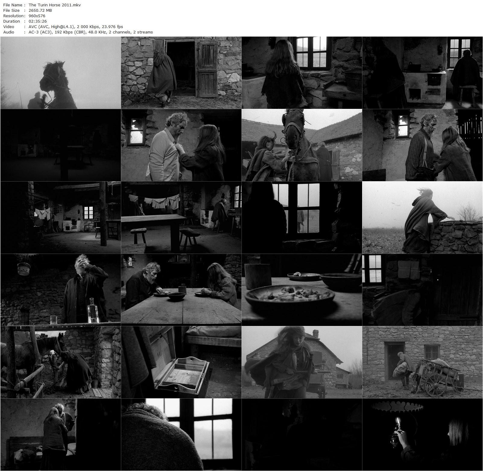 The Turin Horse (2011) Béla Tarr, Ágnes Hranitzky, János Derzsi, Erika Bók, Mihály Kormos-poster
