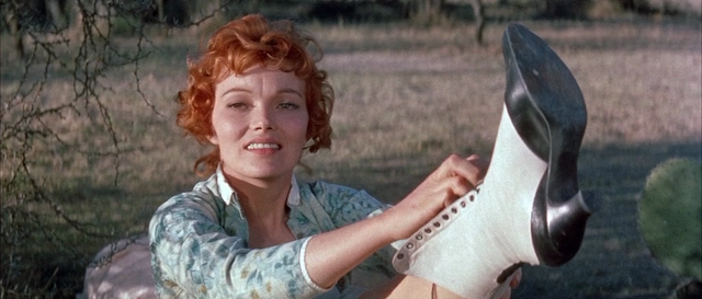 The Unforgiven (1960)-poster