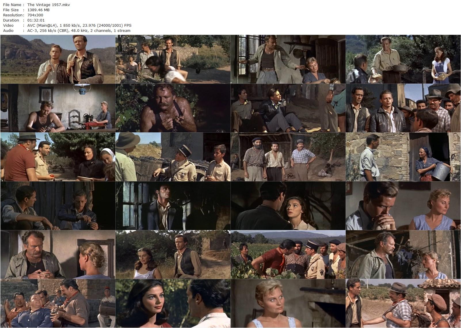 The Vintage (1957) Jeffrey Hayden, Pier Angeli, Mel Ferrer, John Kerr-poster