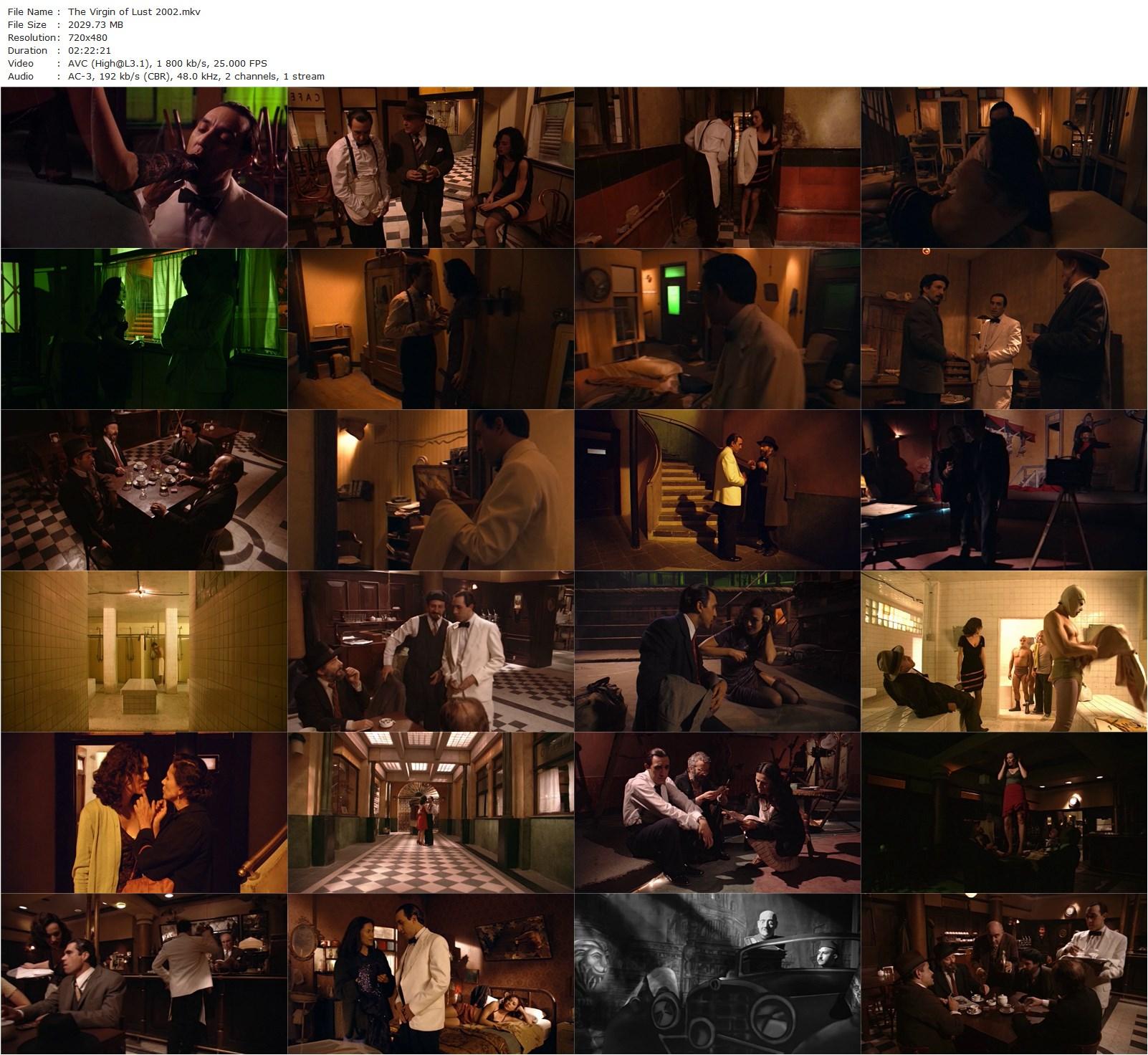 The Virgin of Lust AKA La virgen de la lujuria (2002) Arturo Ripstein, Luis Felipe Tovar, Ariadna Gil, Patricia Reyes Spíndola-poster