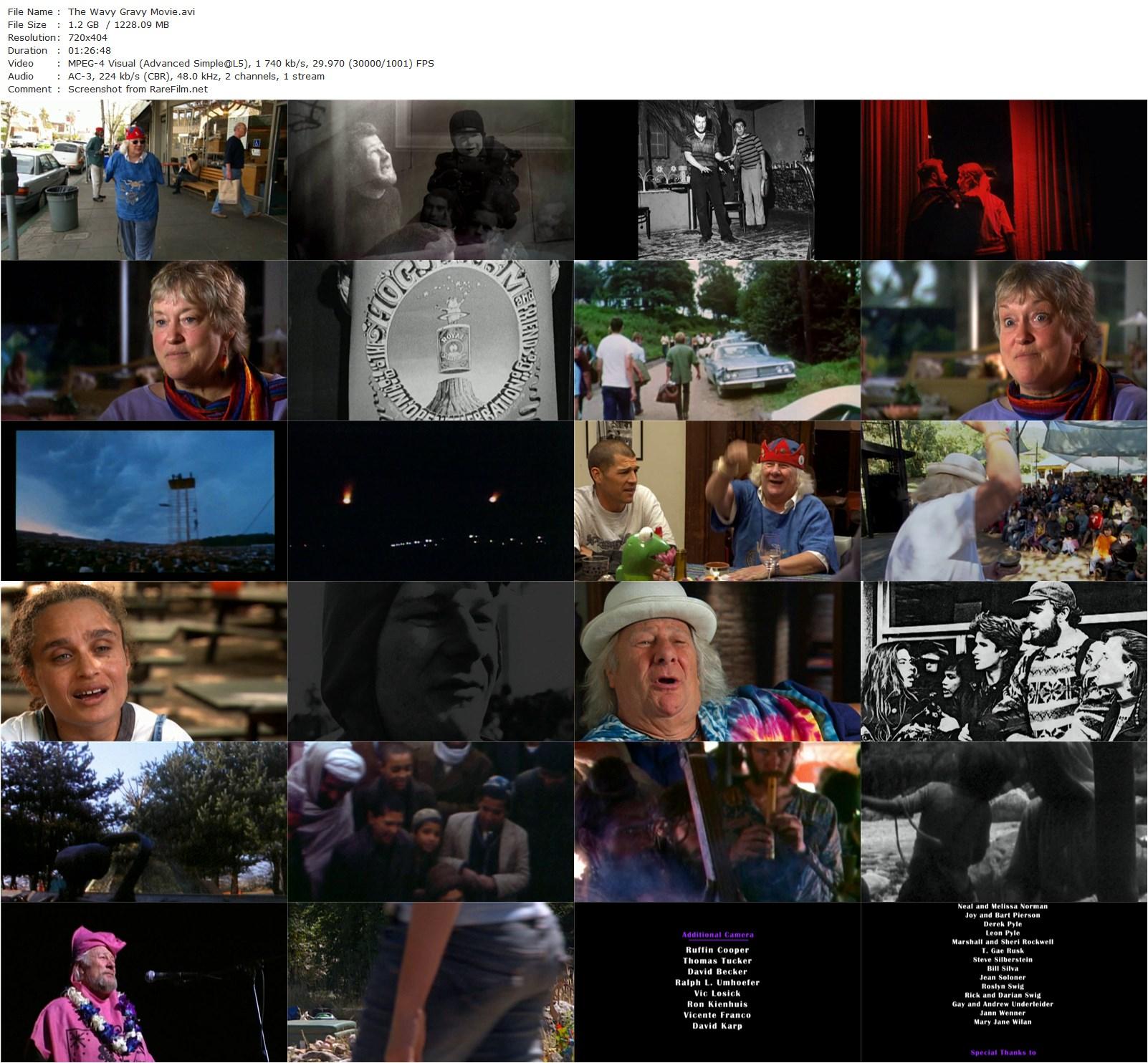 Saint Misbehavin’: The Wavy Gravy Movie (2009) Michelle Esrick, Larry Brilliant, Hugh Romney-poster