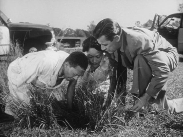 The Well (1951) Leo C. Popkin, Gwendolyn Laster, Richard Rober, Maidie Norman, Drama, Film-Noir, Thriller-poster