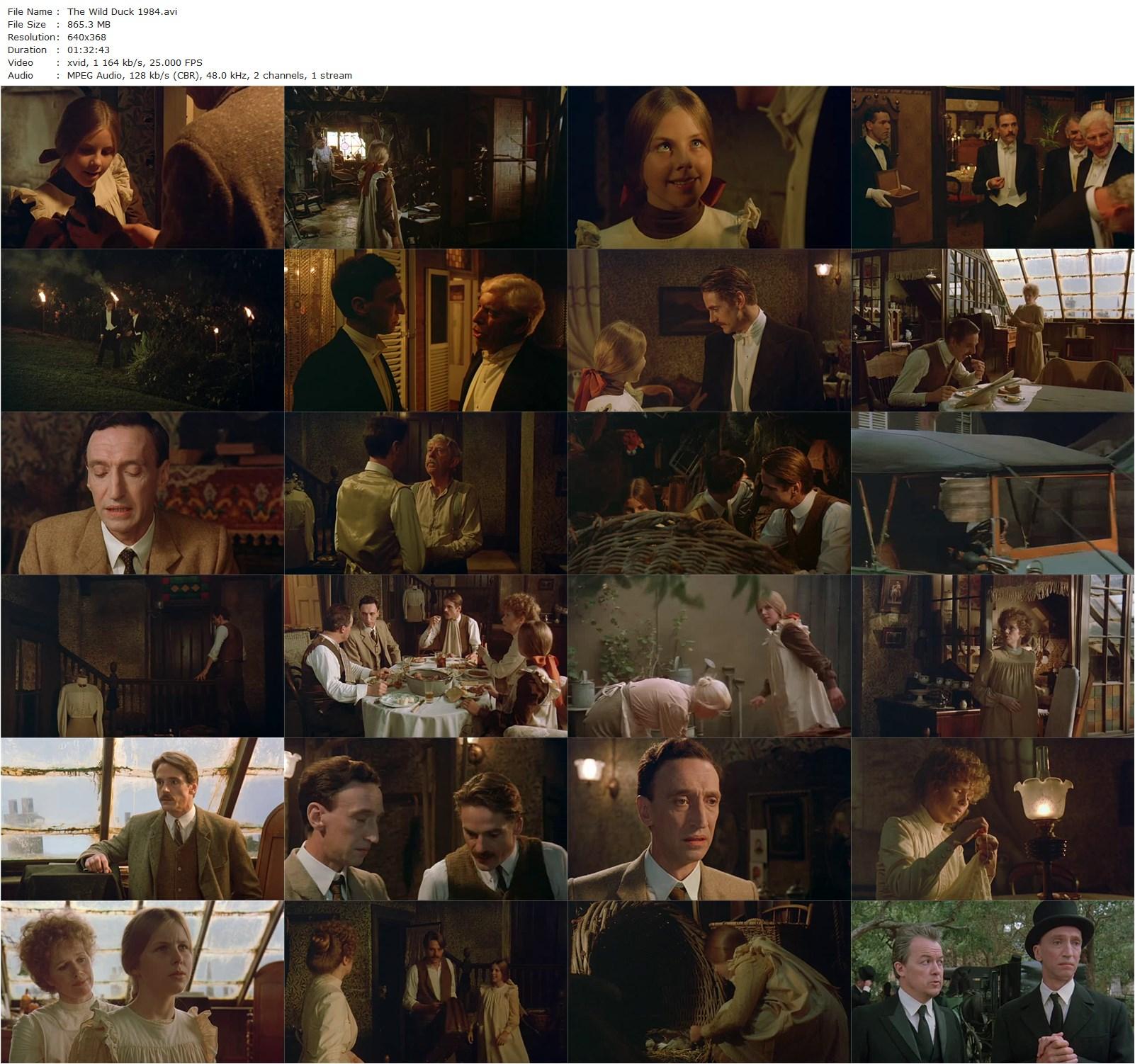 The Wild Duck (1984)-poster