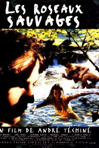 The Wild Reeds (1994) André Téchiné, Élodie Bouchez, Gaël Morel, Stéphane Rideau, Drama