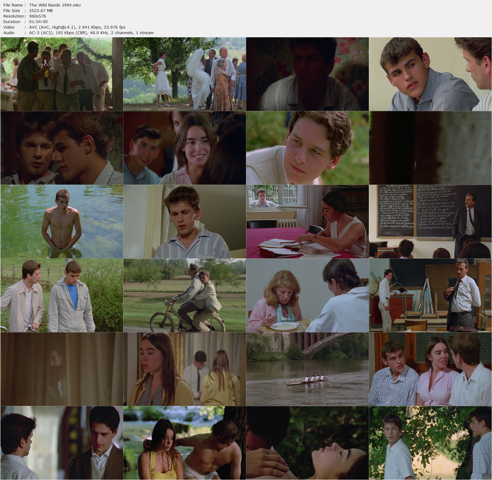 The Wild Reeds (1994) André Téchiné, Élodie Bouchez, Gaël Morel, Stéphane Rideau, Drama-poster