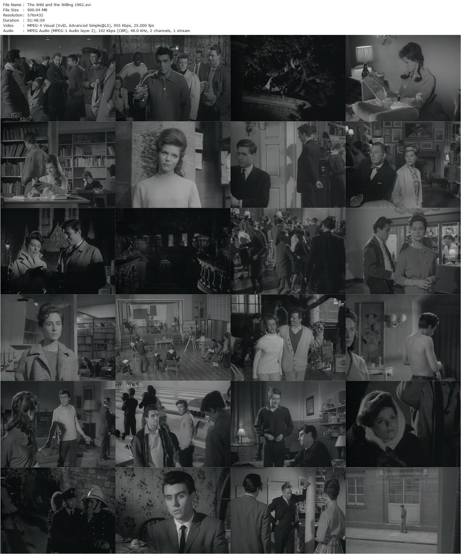 The Wild and the Willing (1962) Ralph Thomas-poster