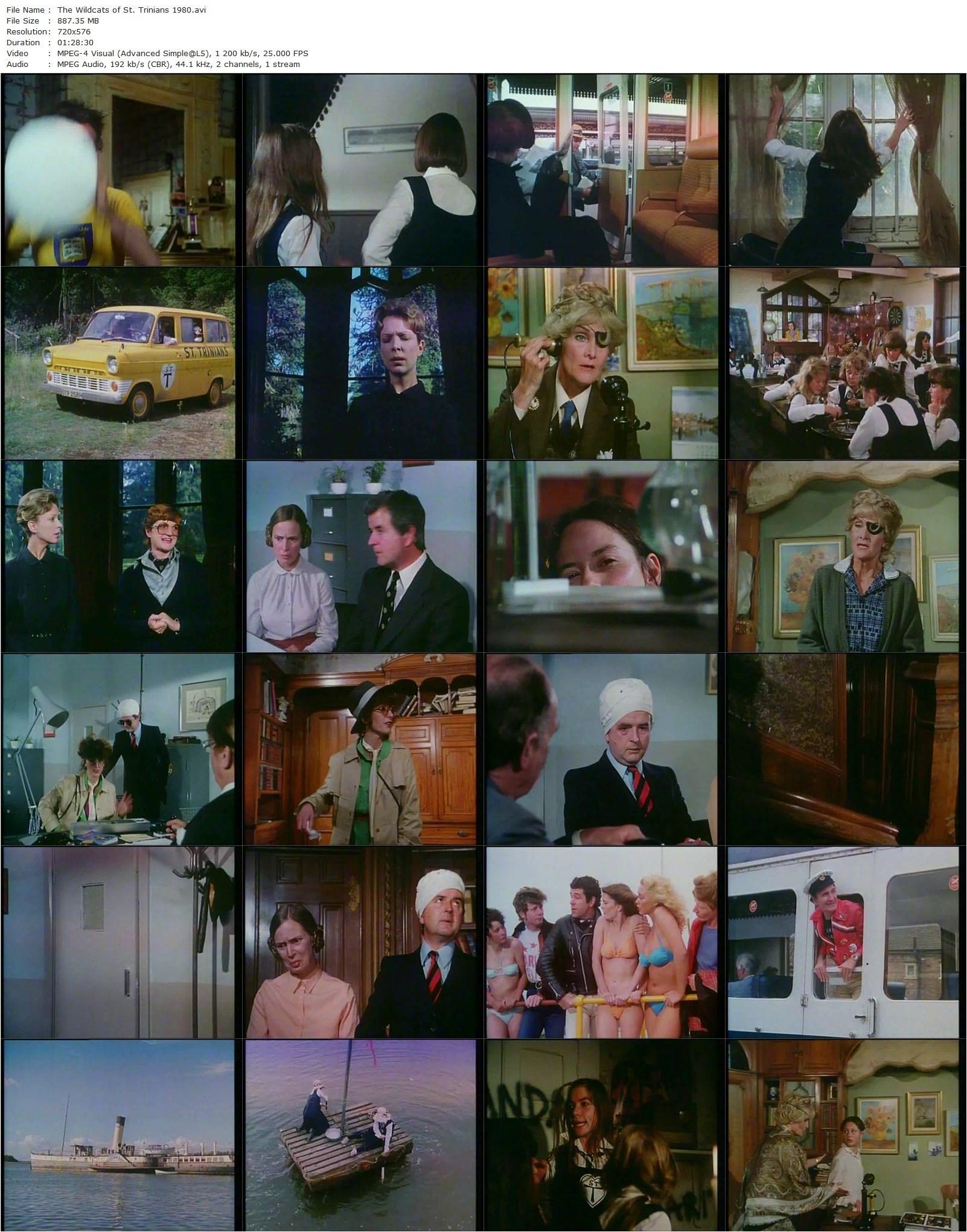 The Wildcats of St. Trinian’s (1980) Frank Launder, Sheila Hancock, Michael Hordern, Joe Melia-poster