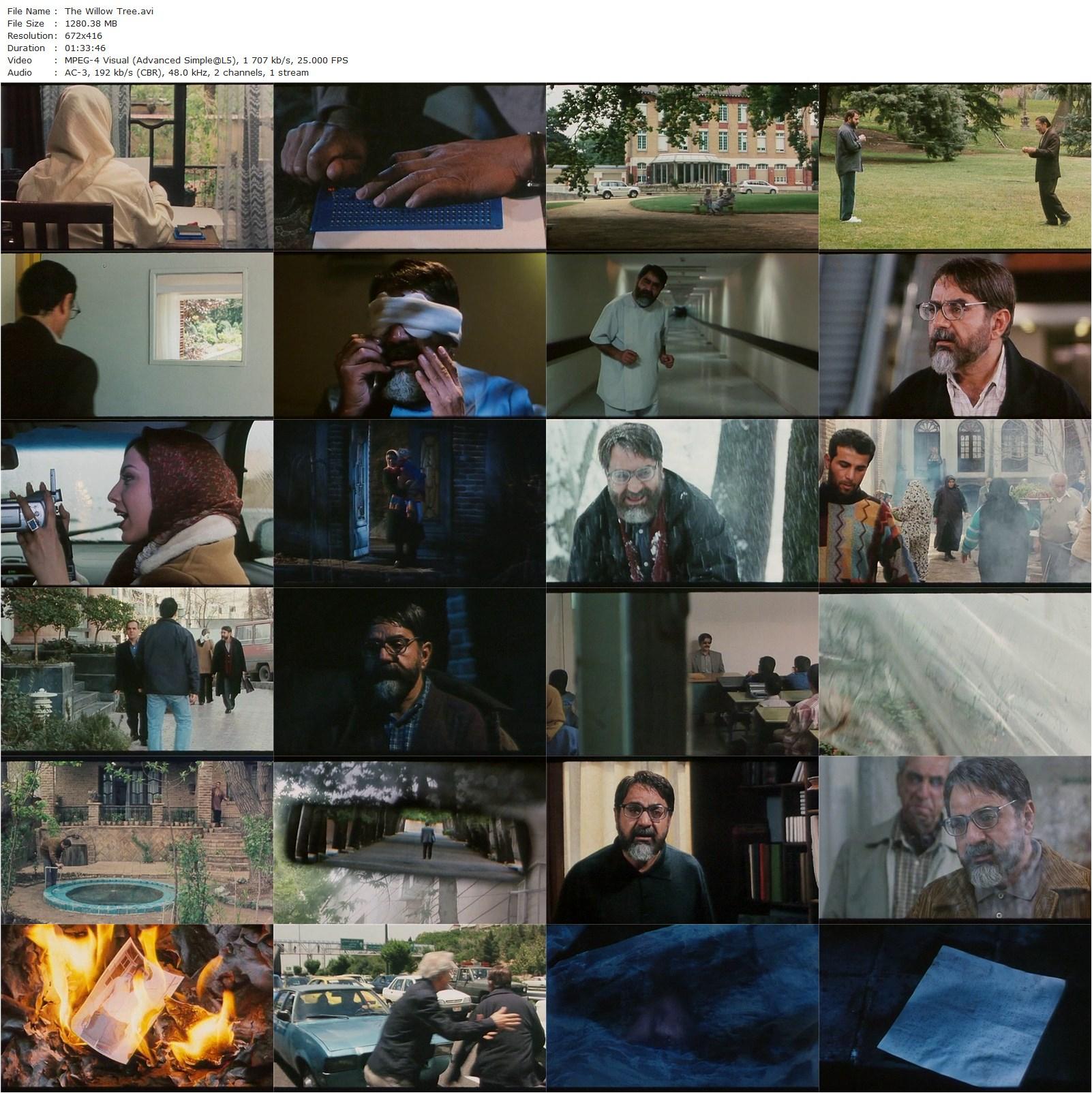 The Willow Tree AKA Beed-e majnoon (2005) Majid Majidi, Parviz Parastui, Roya Taymourian, Afarin Obeisi-poster