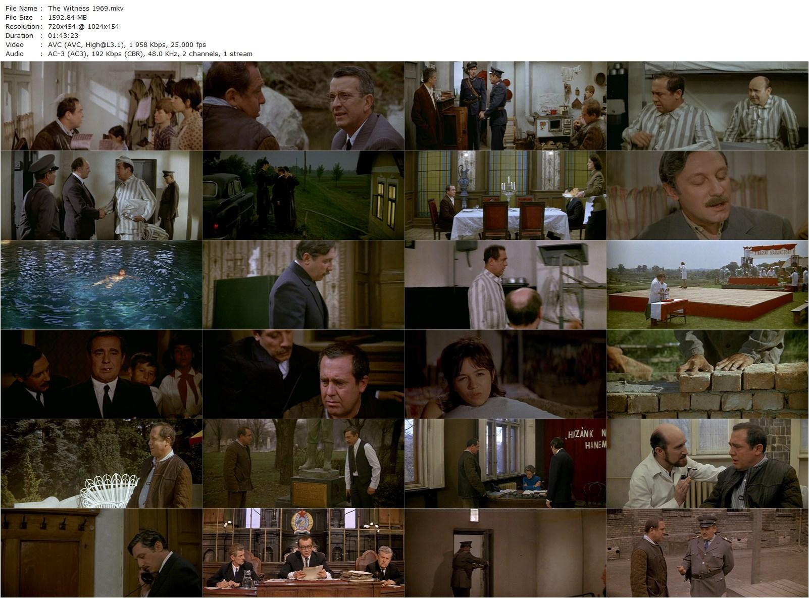 The Witness (1969) Péter Bacsó, Ferenc Kállai, Lajos Öze, Béla Both-poster