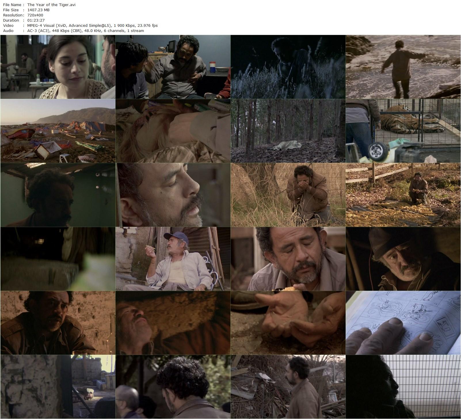 The Year of the Tiger / El Año del Tigre (2011) Sebastián Lelio, Luis Dubó, Sergio Hernández, Viviana Herrera-poster