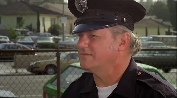 The Choirboys (1977) Robert Aldrich, Charles Durning, Louis Gossett Jr., Perry King, Comedy, Crime, Drama-poster