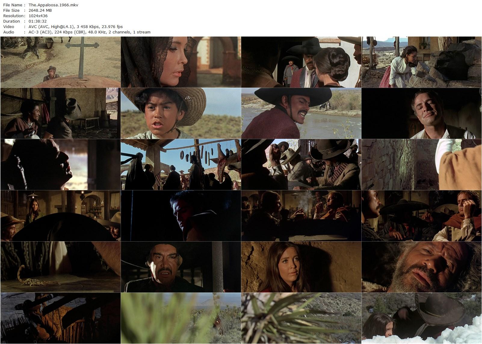 The Appaloosa (1966) Sidney J. Furie, Marlon Brando, Anjanette Comer, John Saxon-poster