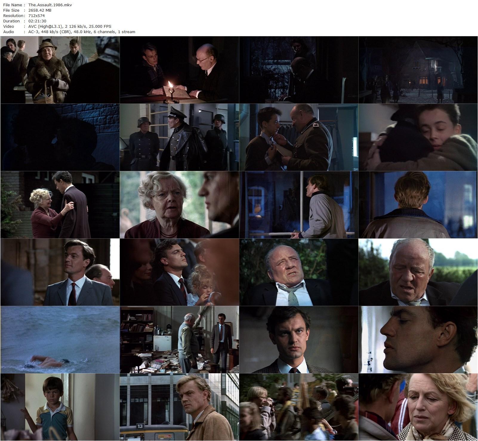 The Assault AKA De aanslag (1986) Fons Rademakers, Derek de Lint, Marc van Uchelen, Monique van de Ven-poster