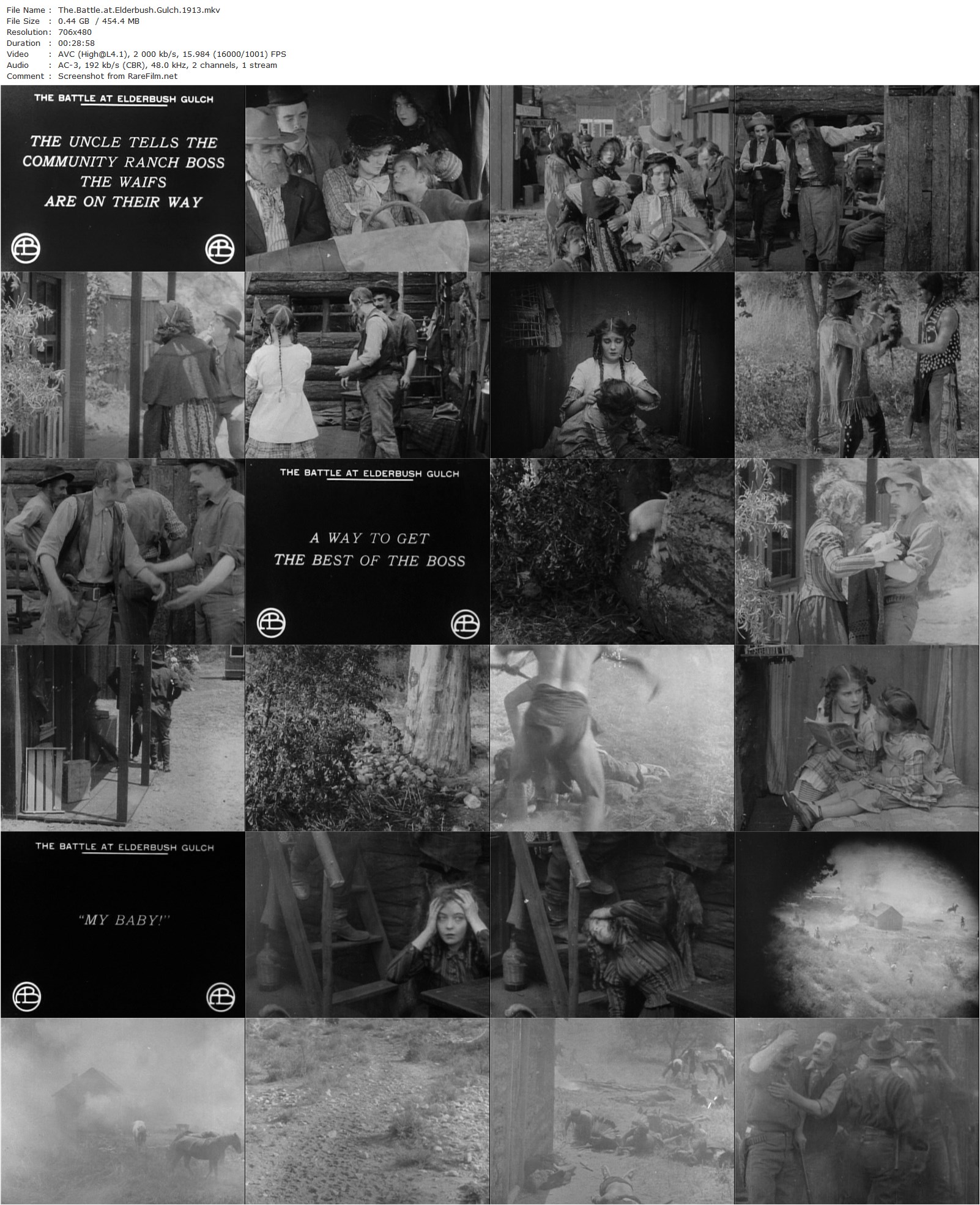 The Battle of Elderbush Gulch (1913)-poster