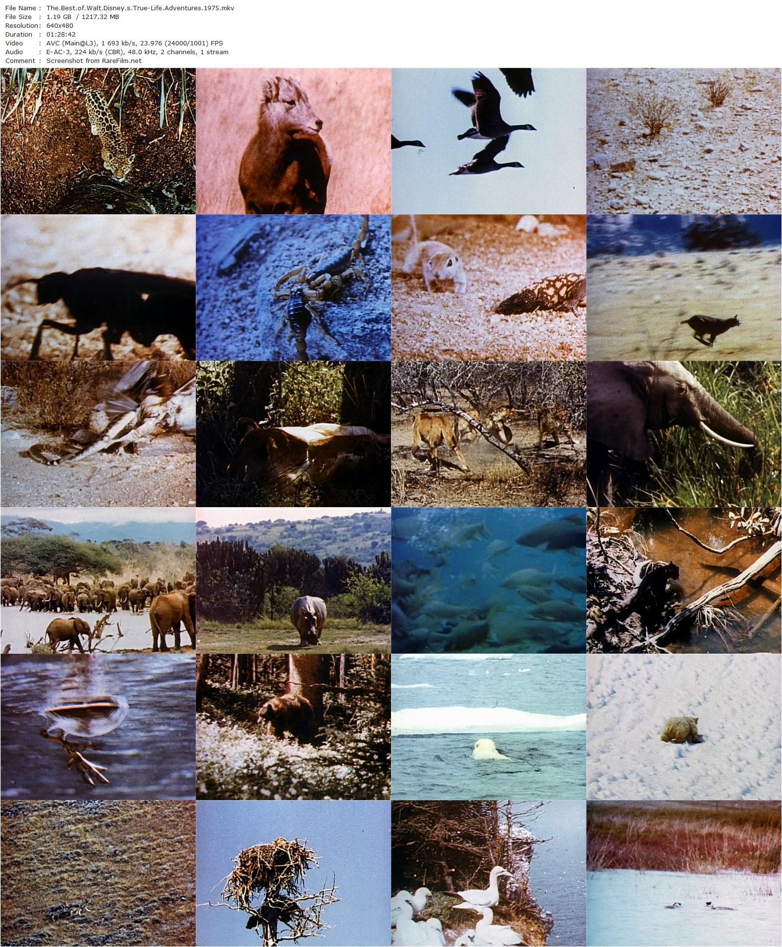 The Best of Walt Disney’s True-Life Adventures (1975) James Algar, Winston Hibler-poster