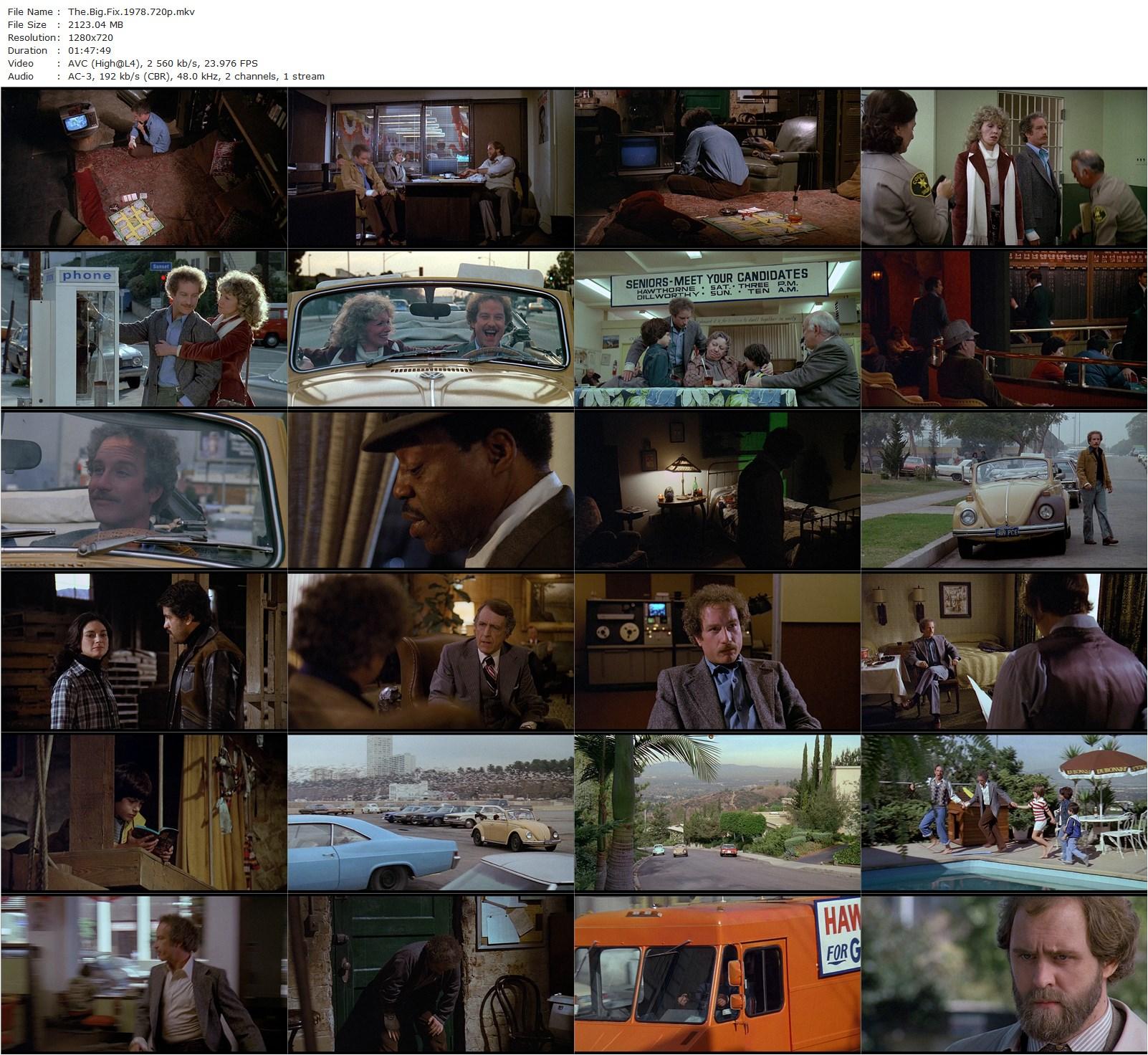 The Big Fix (1978) Jeremy Kagan, Richard Dreyfuss, Susan Anspach, Bonnie Bedelia-poster