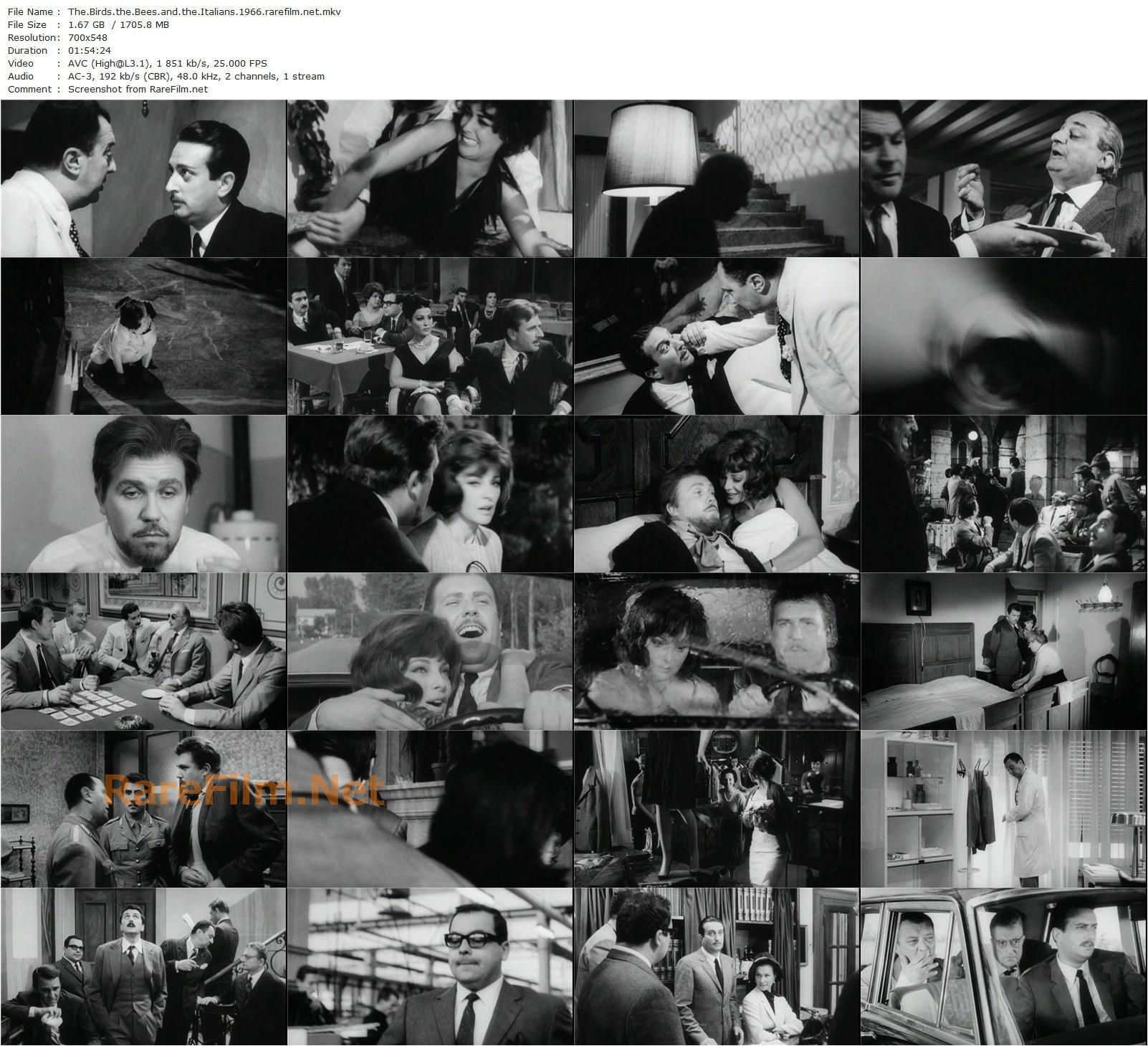 The Birds, the Bees and the Italians / Signore & signori (1965) Pietro Germi, Virna Lisi, Gastone Moschin, Alberto Lionello-poster